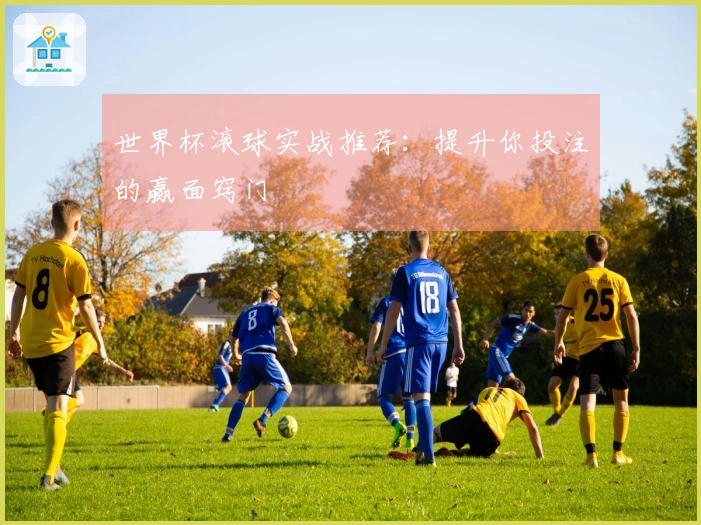 世界杯滚球实战推荐:提升你投注的赢面窍门