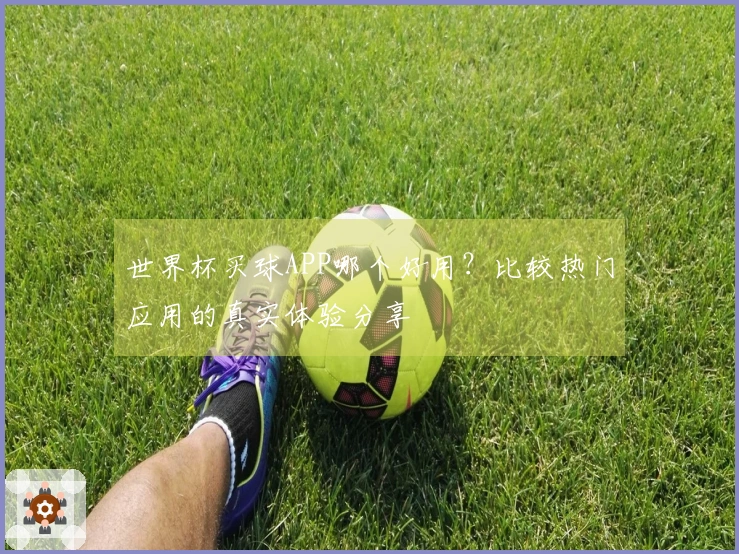 世界杯买球APP哪个好用？比较热门应用的真实体验分享