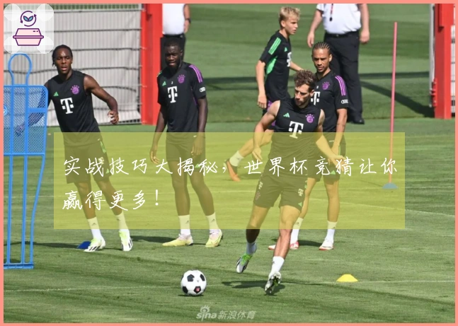 实战技巧大揭秘，世界杯竞猜让你赢得更多！