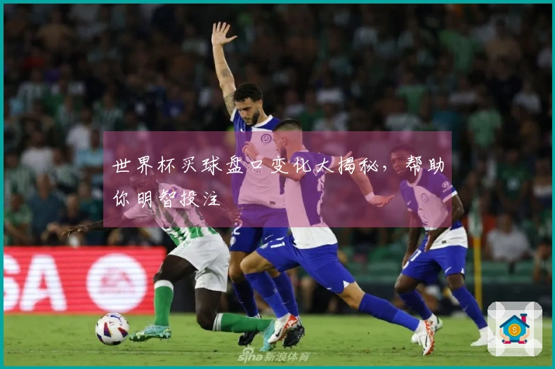 世界杯买球盘口变化大揭秘，帮助你明智投注