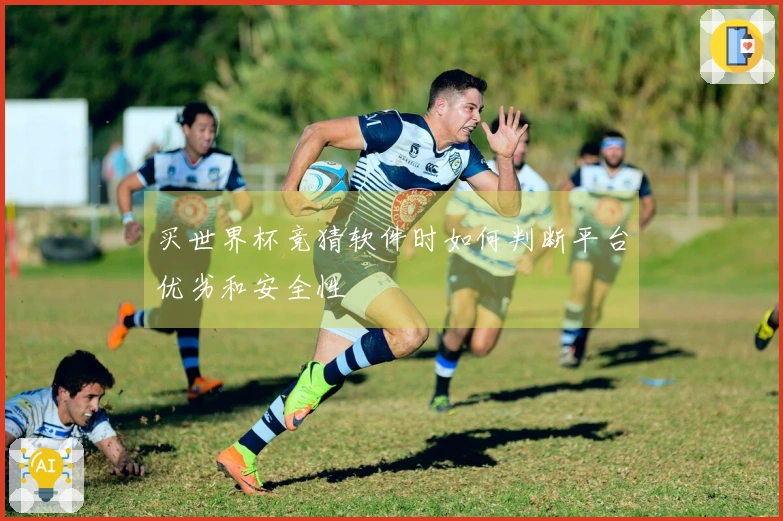 买世界杯竞猜软件时如何判断平台优劣和安全性
