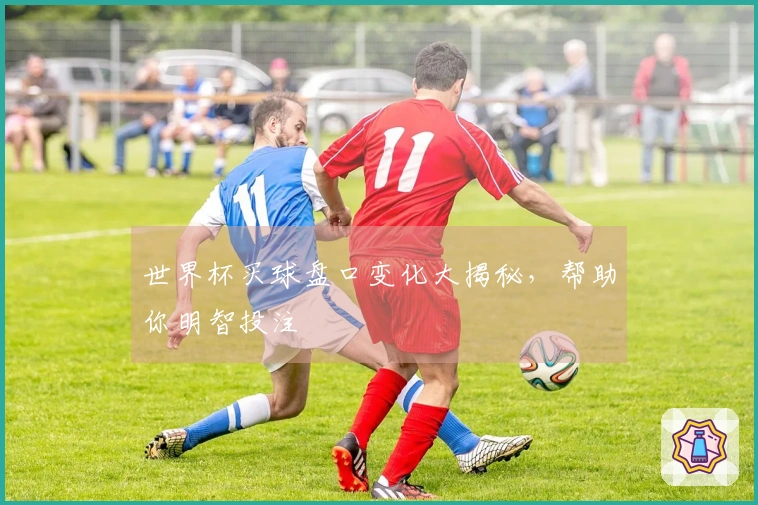 世界杯买球盘口变化大揭秘，帮助你明智投注